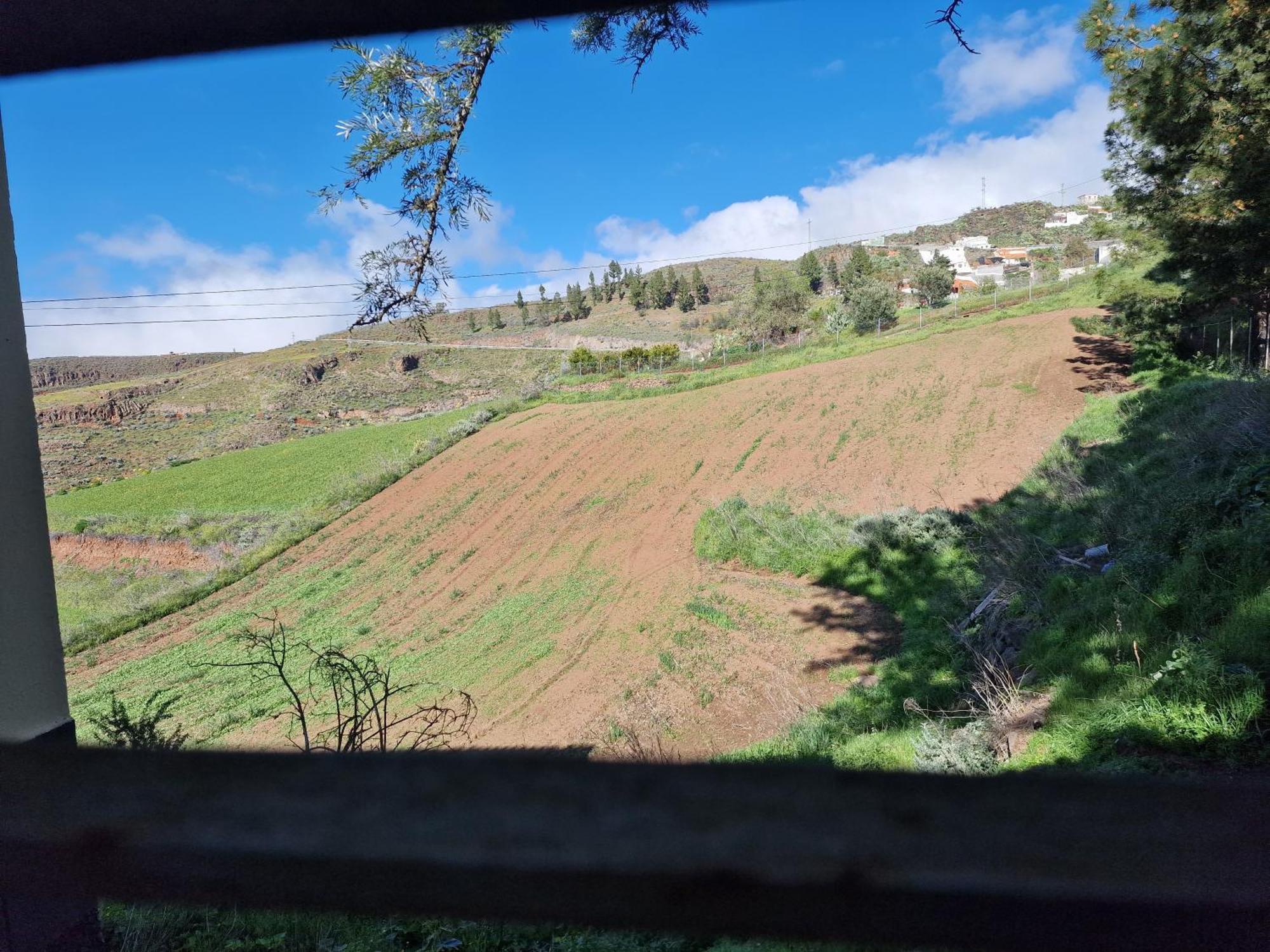 Hotel Rural Juncalillo Galdar Luaran gambar